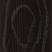 The structure of wenge patina